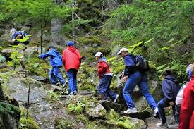Comment pouvez-vous organiser une excursion?